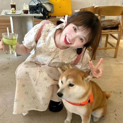 与鸭共舞